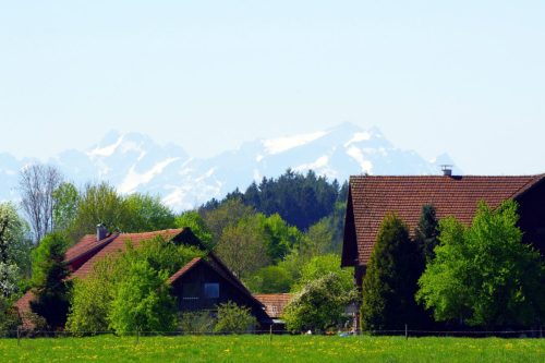 IMGP7380 01